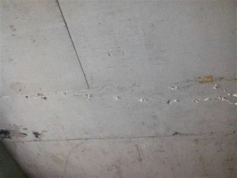 天花板出現裂痕 1967 生肖